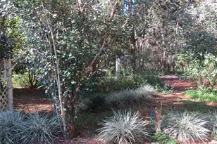 3617 SW 20th St, Gainesville, FL 32608 - Photo 22