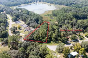 101 Ashley Lake Dr, Melrose, FL 32666 - Photo 1