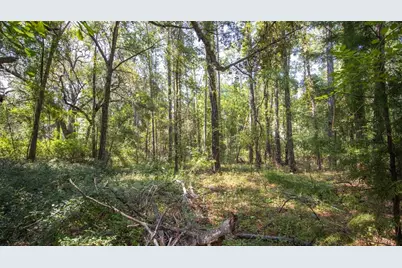 101 Ashley Lake Drive, Melrose, FL 32666 - Photo 12