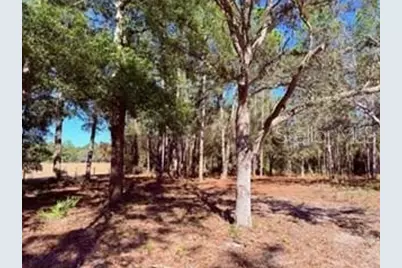 2629 NW 29th Terrace, Bell, FL 32619 - Photo 22