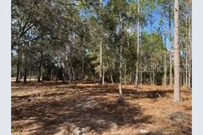 2629 NW 29th Terrace, Bell, FL 32619 - Photo 28