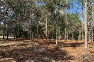 2629 NW 29th Terrace, Bell, FL 32619 - Photo 30