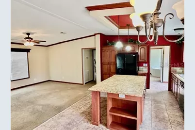 2629 NW 29th Terrace, Bell, FL 32619 - Photo 8
