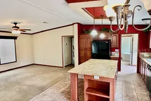 2629 NW 29th Terrace, Bell, FL 32619 - Photo 8
