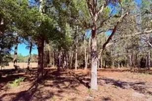 2629 NW 29th Terrace, Bell, FL 32619 - Photo 24