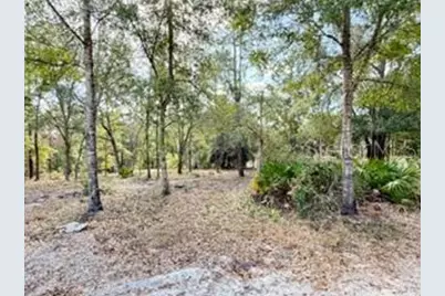 2629 NW 29th Terrace, Bell, FL 32619 - Photo 32