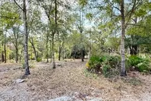 2629 NW 29th Terrace, Bell, FL 32619 - Photo 32