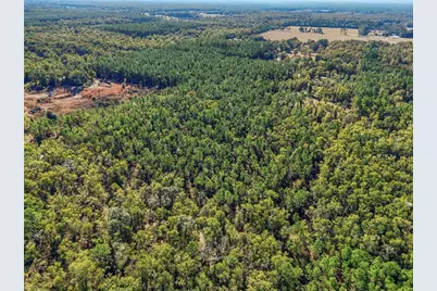 317 SW Cumberland Street, Fort White, FL 32038 - Photo 22