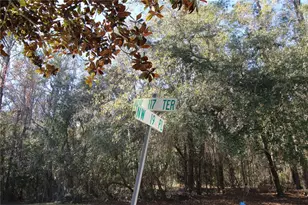 11685 NW 19 Pl, Gainesville, FL 32606 - Photo 2