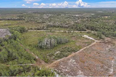 3251 SE County Road 343, Morriston, FL 32668 - Photo 10