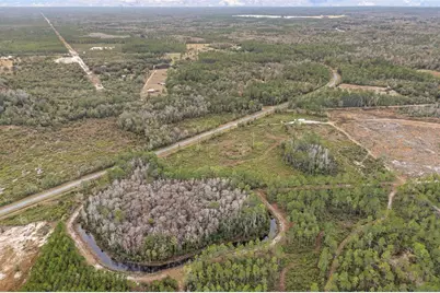 3251 SE County Road 343, Morriston, FL 32668 - Photo 12