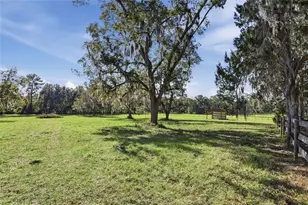 6109 SW Elim Church Rd, Fort White, FL 32038 - Photo 56