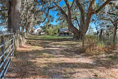 6109 SW Elim Church Road, Fort White, FL 32038 - Photo 58