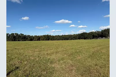 6109 SW Elim Church Road, Fort White, FL 32038 - Photo 64