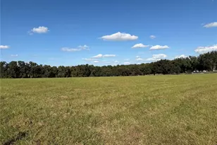 6109 SW Elim Church Rd, Fort White, FL 32038 - Photo 64