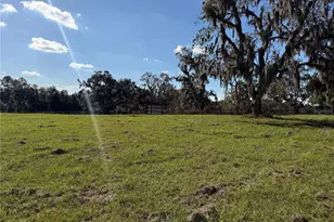 6109 SW Elim Church Rd, Fort White, FL 32038 - Photo 68