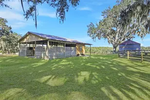 6109 SW Elim Church Rd, Fort White, FL 32038 - Photo 46