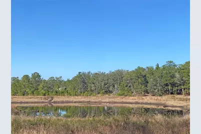 194 Whirlwind Loop, Hawthorne, FL 32640 - Photo 28