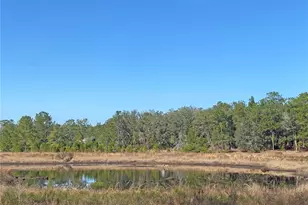 194 Whirlwind Loop, Hawthorne, FL 32640 - Photo 28