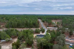194 Whirlwind Loop, Hawthorne, FL 32640 - Photo 36