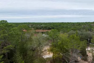 194 Whirlwind Loop, Hawthorne, FL 32640 - Photo 34