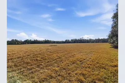 Hwy 236 NW 236, Alachua, FL 32615 - Photo 6