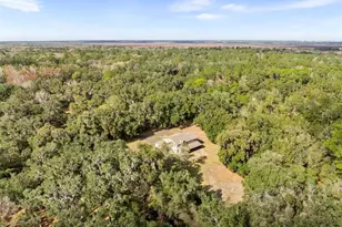 12221 SW 16 St, Micanopy, FL 32667 - Photo 34