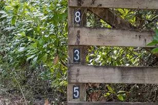 8350 NW 77th Pl, Chiefland, FL 32626 - Photo 6