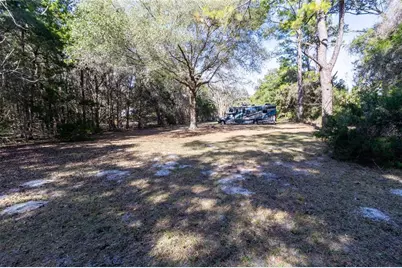 8350 NW 77th Place, Chiefland, FL 32626 - Photo 12