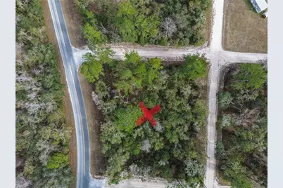 00 SE 929th Street, Old Town, FL 32680 - Photo 6