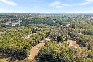 19651 NE 50 St, Williston, FL 32696 - Photo 50