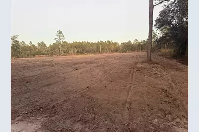 7251 NE 105th Avenue, Bronson, FL 32621 - Photo 2