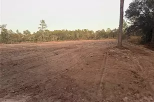 7251 NE 105th Ave, Bronson, FL 32621 - Photo 2