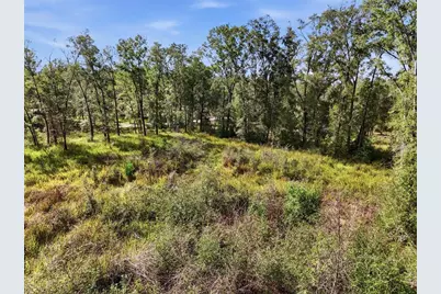 00 SE 80th Place, Trenton, FL 32693 - Photo 6