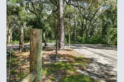 243 SE 914th Street, Old Town, FL 32680 - Photo 4