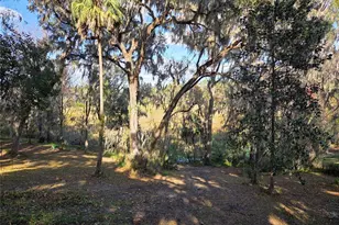 2901 SW 4 Ct, Gainesville, FL 32601 - Photo 8