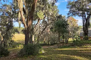 2901 SW 4 Ct, Gainesville, FL 32601 - Photo 10