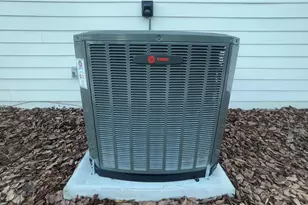 11380 NW 92 Ct, Chiefland, FL 32626 - Photo 46