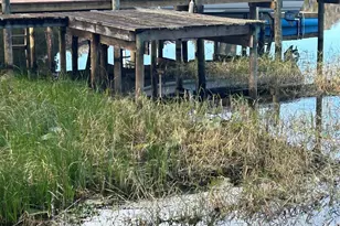 6116 Trout St, Melrose, FL 32666 - Photo 4