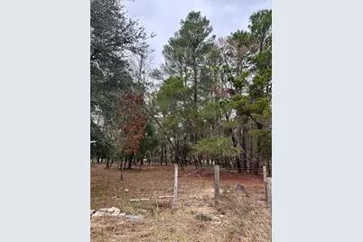 8341 W Oak Street, Crystal River, FL 34428 - Photo 34