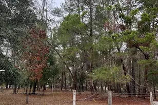 8341 W Oak St, Crystal River, FL 34428 - Photo 34