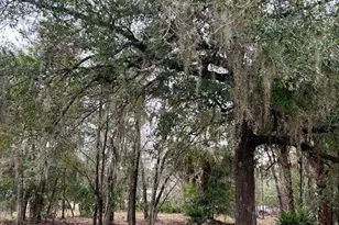 8341 W Oak St, Crystal River, FL 34428 - Photo 32