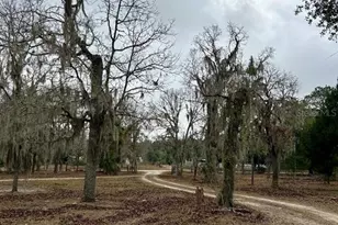 8341 W Oak St, Crystal River, FL 34428 - Photo 30