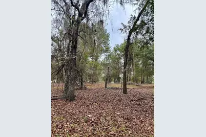 8341 W Oak Street, Crystal River, FL 34428 - Photo 44