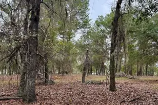 8341 W Oak St, Crystal River, FL 34428 - Photo 44