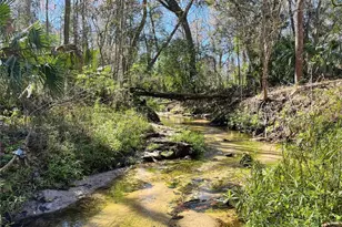 1810 NW 23rd Blvd, Gainesville, FL 32605 - Photo 2