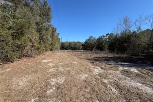 11727 SW 122nd St, Gainesville, FL 32608 - Photo 22