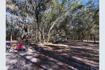 11727 SW 122nd Street, Gainesville, FL 32608 - Photo 14