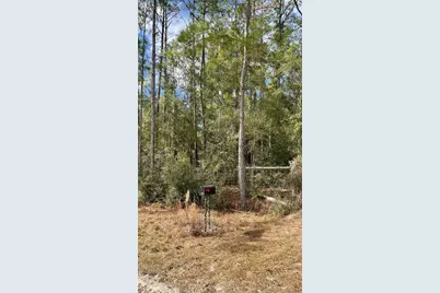 15635 97th Drive, Live Oak, FL 32060 - Photo 10