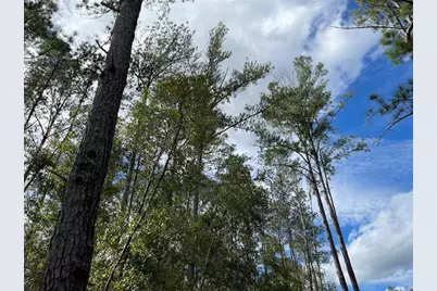 15635 97th Drive, Live Oak, FL 32060 - Photo 12